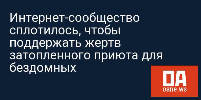 Интернет-сообщество сплотилось, чтобы поддержать жертв затопленного приюта для бездомных