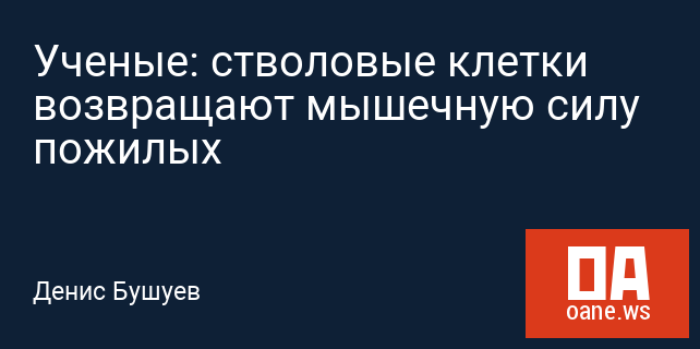 Ученые: стволовые клетки возвращают мышечную силу пожилых Ученые: стволовые клетки возвращают мышечную силу пожилых