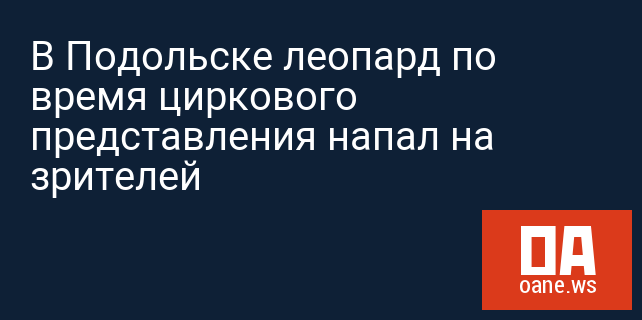 В Подольске леопард по время циркового представления напал на зрителей В Подольске леопард по время циркового представления напал на зрителей