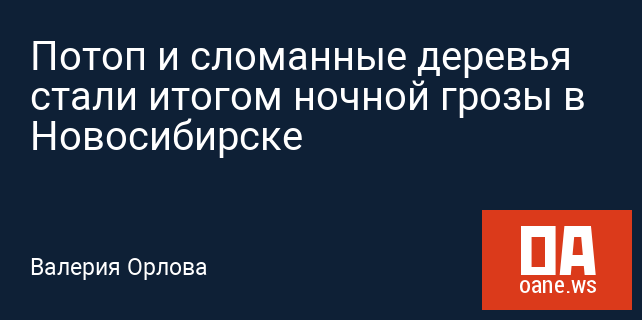 Потоп и сломанные деревья стали итогом ночной грозы в Новосибирске