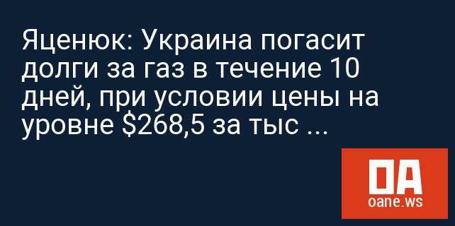 Яценюк: Украина погасит долги за газ в течение 10 дней, при условии цены на уровне $268,5 за тыс куб. м