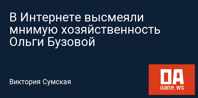 В Интернете высмеяли мнимую хозяйственность Ольги Бузовой В Интернете высмеяли мнимую хозяйственность Ольги Бузовой