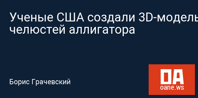 Ученые США создали 3D-модель челюстей аллигатора Ученые США создали 3D-модель челюстей аллигатора