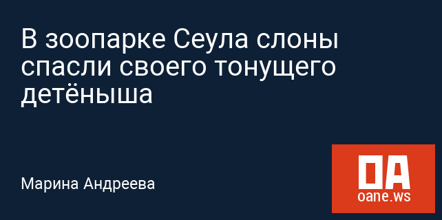 В зоопарке Сеула слоны спасли своего тонущего детёныша В зоопарке Сеула слоны спасли своего тонущего детёныша