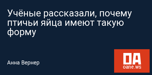 Учёные рассказали, почему птичьи яйца имеют такую форму Учёные рассказали, почему птичьи яйца имеют такую форму
