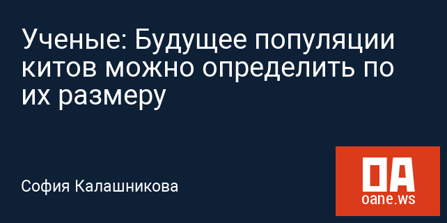 Ученые: Будущее популяции китов можно определить по их размеру Ученые: Будущее популяции китов можно определить по их размеру