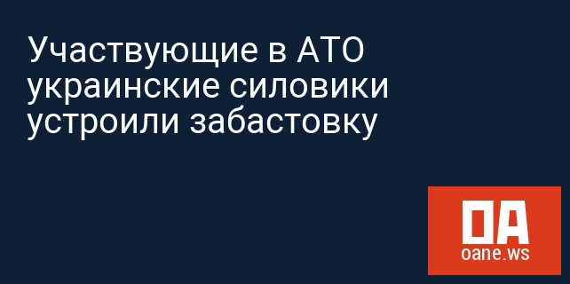 Участвующие в АТО украинские силовики устроили забастовку Участвующие в АТО украинские силовики устроили забастовку