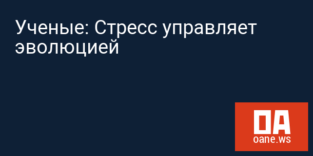 Ученые: Стресс управляет эволюцией