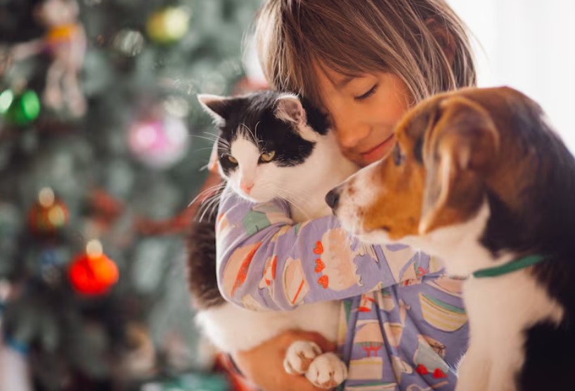 ЦБ РФ вводит новые ограничения на крупные кредиты с 1 марта 2026 года